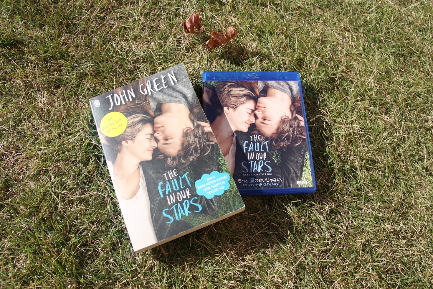 The Art of Balancing Creativity: Insights from Taylor Payton